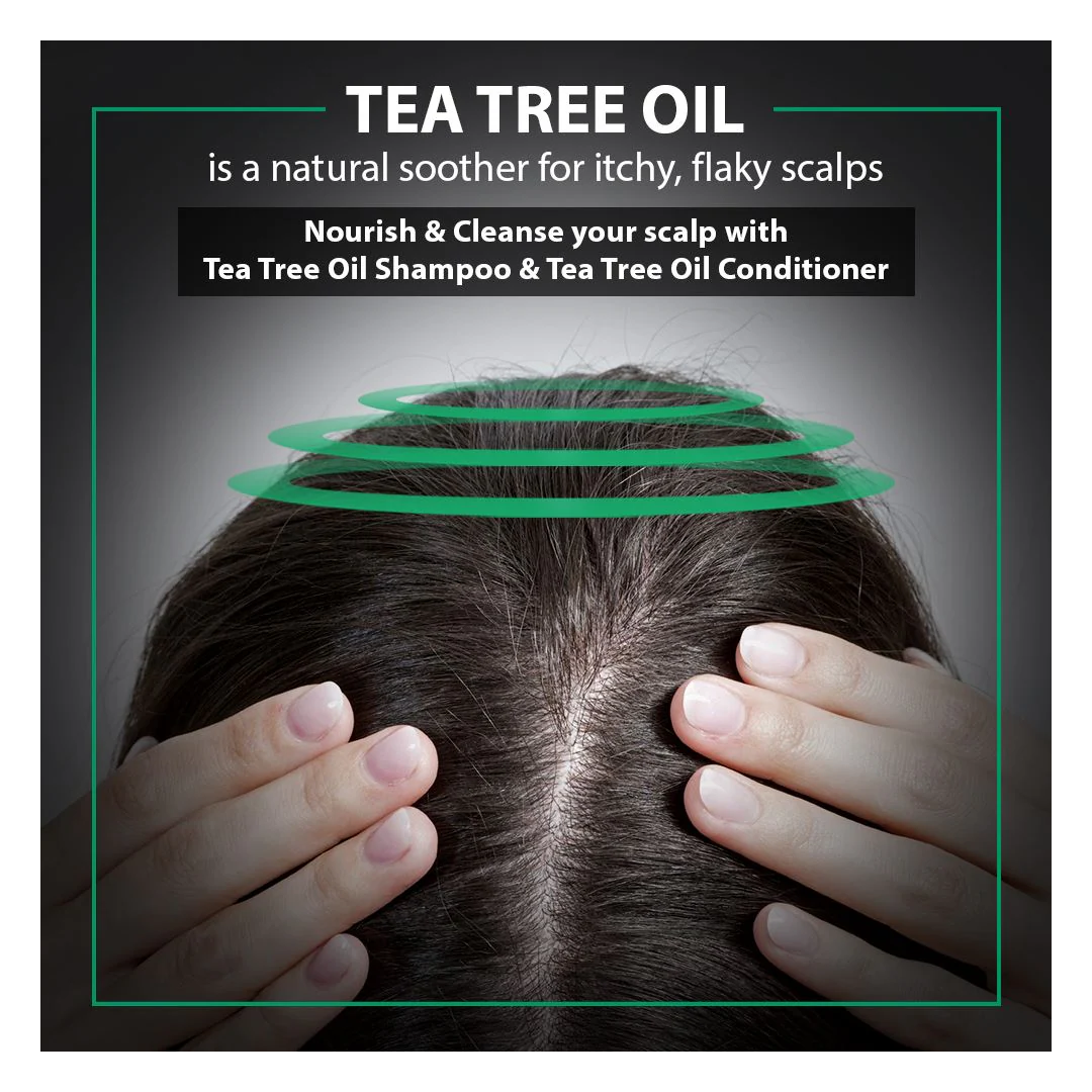DE FABULOUS | Tea Tree Oil - Shampoo, Conditioner and Masque Set